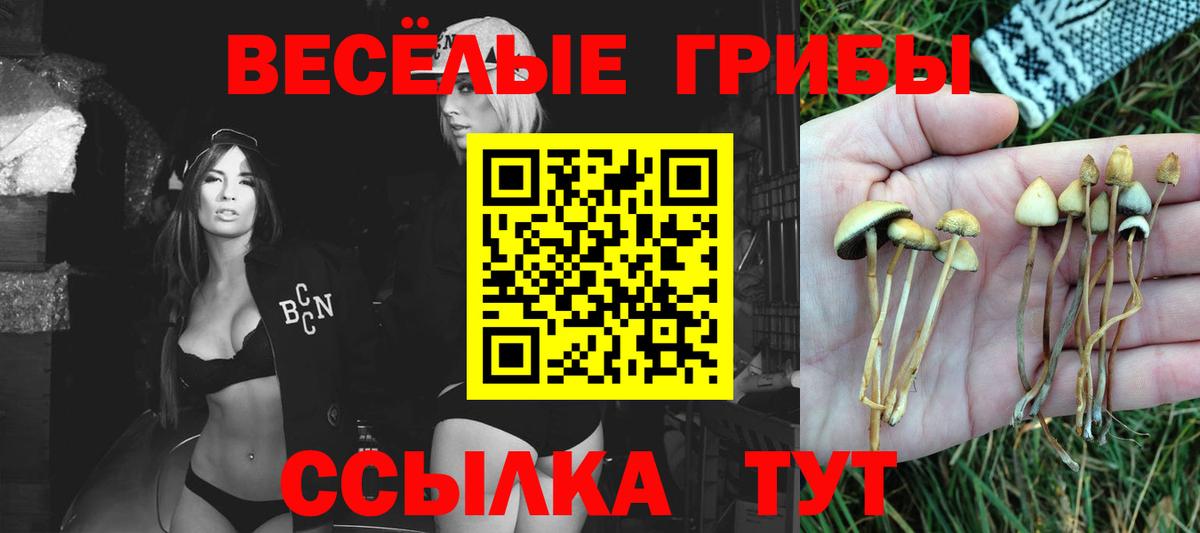 Псилоцибиновые грибы прущие грибы  Вход с VPN  купить  сайты  Десногорск 